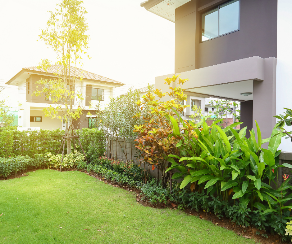 شركة لاندسكيب في الشارقة